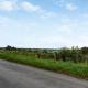 Green Acres, Nidd (fotografie 10)