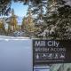 Wildflower 47 Mammoth Lakes - Fotografie 7