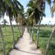 Hi Heaven Thoddoo, Thoddoo (foto 8)