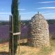 Les petits cyprès, Bonnieux (foto 7)