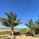 Bahia Beach- Duplex, plage privée, Netflix, Cayenne (foto 7)