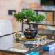 Trendy Mare Street 3 Bed Next Hackney Central, Londýn - Fotografie 2