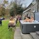Stunning Barn Conversion with HOT TUB and ALPACAS - Ty Cerrig Barn Corwen - Photo 2