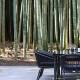 and FOREST勝浦 竹の離れ 美しい竹林に囲まれ露天風呂とSAUNAを楽しむ大人の離れ 天然鉱泉 BBQ ペット 最大8名 勝浦, Kacuura - Fotografie 7