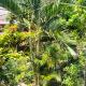 Nadil Homestay, Kuta Lombok (photo 5)