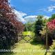 The Old Workshop, Wadhurst, Wadhurst (fotografie 4)