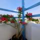 Gladden Villa, ウダイプール - 写真 7