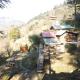 Zairu home stay, Banjār - Fotografie 8