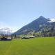 Apartment Farfalla by Interhome Gstaad - Foto 4