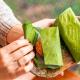 La Loma Jungle Lodge and Chocolate Farm, Bocas del Toro - Fotografie 4