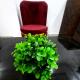 ICONIC RETREAT by ATULYAM STAYS, Prayagraj - Foto 10