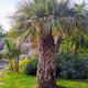 Secret garden, ideal for 2,large terrace, Nice - Fotografie 2