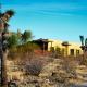 Sacred Sands - Lobo Luna, Joshua Tree (foto 9)