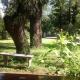 Los Aguaribays, Los Cocos (Foto 4)