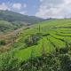 Heritage Farm Kerala, Idukki - Foto 6