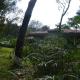 Colonel's Retreat, Mavady, Vagamon, Vagamon - Foto 2