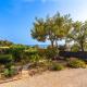 Apartment Mimosas by Interhome, Carqueiranne (fotografie 3)