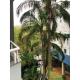 Central Park Flat Residence - Home Time, Florianópolis - Fotografie 8