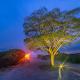 Golden Sunset Glamping, Monteverde Costa Rica (fotografie 3)