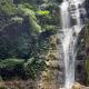 Bunihayu Forest, Peuteuy (фото 2)