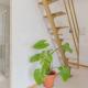 Penthouse with private rooftop - Center by REMS, Málaga - Foto 6