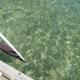 Lakeside Cottage on Torch Lake, Alden (Foto 9)