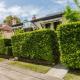 Randwick City Lodge 2, Sydney (foto 9)