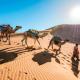 merzouga desert camp