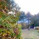 Koti Mountain House, Litochoro (photo 9)