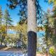 Eagles Nest on Lake Arrowhead - Fotografie 5
