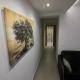 Elaion guest house, Atene - Foto 8
