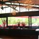 05 - Exquisite Paradise Retreat, Nai Thon Beach (foto 4)