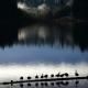 Silver Lake Resort, Silver Lake (фото 9)