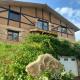 Solapetxea Loft rural, Elosu