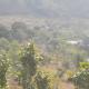 Nature valley home stay, Marchula - Photo 7