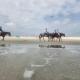 Nirvana Nature's Nook, Palm Coast (photo 8)