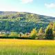 FeWo Burgblick, Bad Blankenburg - Foto 1