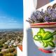 El Mirador in Mijas, Mijas (fotografie 2)