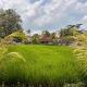 1 Bedroom by the Rice Fields Escape - Pika Villa Ubud - Zdjęcie 10