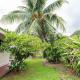 Pension TE MITI - PLAGE-BEACH 200m - Mahana Parc & Vaiava Beach pk18 - B&B CHAMBRES ou DORTOIR, Punaauia - Fotografie 4