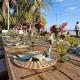 Oceanfront Casa Rhino, Paso Hondo (foto 8)