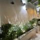 Luxurious & Private Penthouse, New Delhi - Foto 6