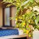 House near Shinjuku with parking & courtyard, Tokio - Fotografie 2
