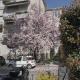 Garden Flat, Milán - Fotografie 4