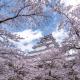 Villa Inawashiro, Inawashiro (fotografie 4)
