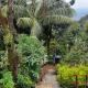 Spinson Home Stay, Madikeri - Kuva 8