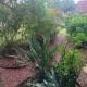 Kyogle Comfy Homestay, Kyogle (foto 5)