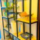 Ganga Army House Retreat - A premium condo with River and Mountains view, Rishikesh - Kuva 8