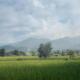 Camp View Mountain - Sell Experience By Paddy Fields Haven - Natures Nest, Pai - Foto 8