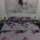 Apartman Jasna,